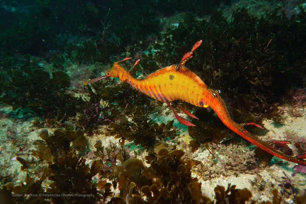 1a1df6f0-1c44-4d9c-a2ce-12e7249aea71