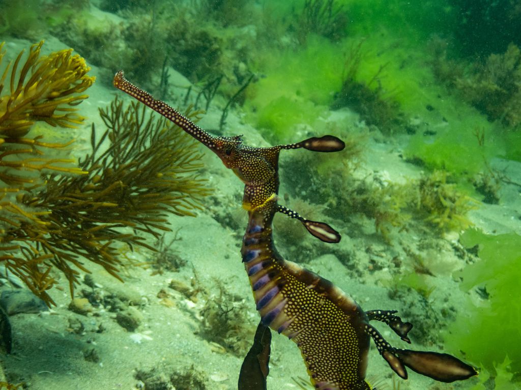 5f63eda6-a307-47e4-be90-4a80072f2604