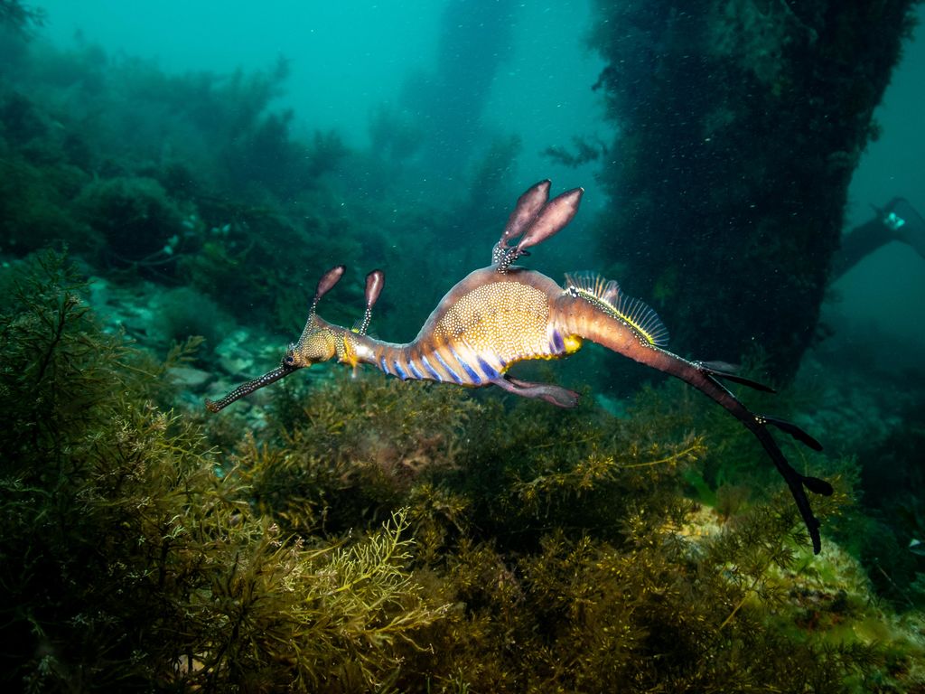 7ce0a172-b157-49f9-878b-dd13b84a3be9