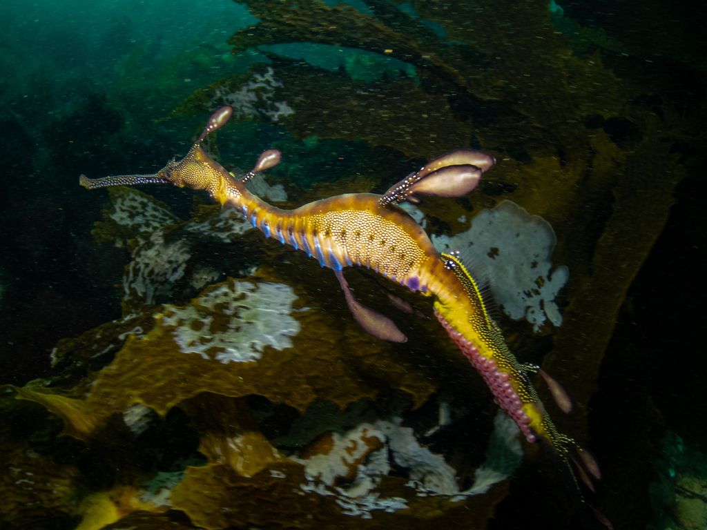 98097c42-f7c2-449a-a3cd-078448af25ae