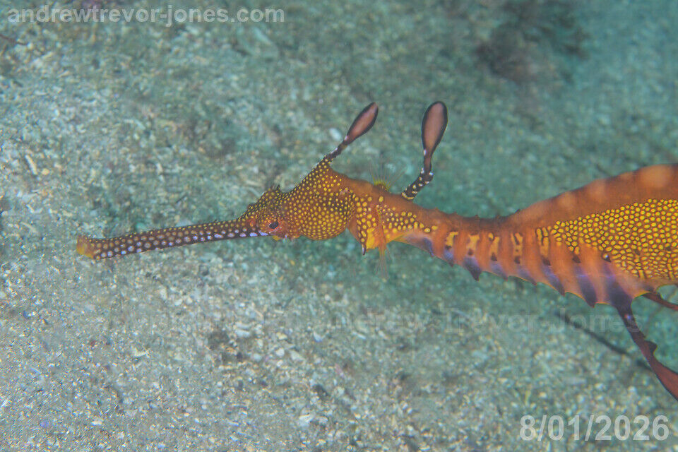 9b8f1e04-1018-4775-a3b1-4cb50c17edd5