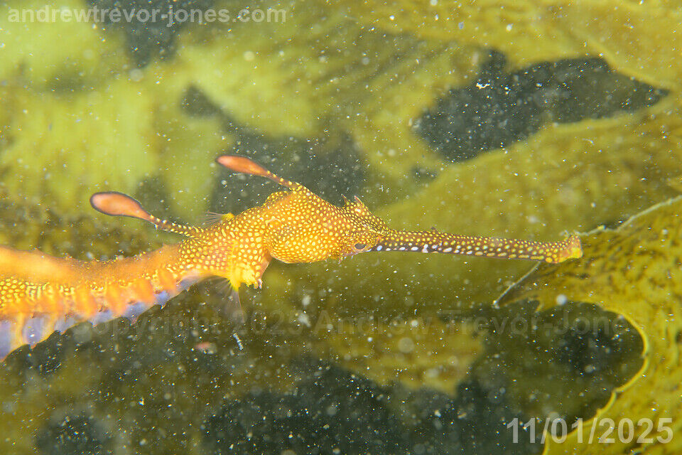 3d62e8ae-88b8-435f-b14d-5bc86b3262c6