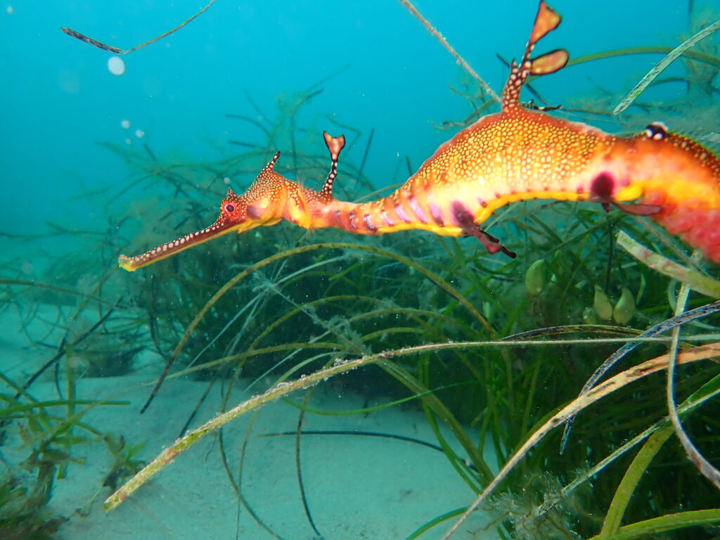 98c7f49c-2f38-4395-9b00-f4df09134cea