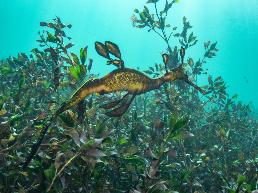 a4c9b57d-0890-4658-a6cc-1dd43c90b8ca