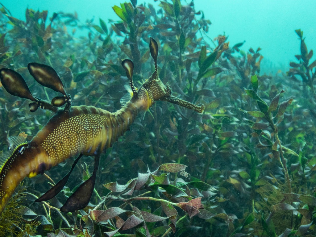 a4c9b57d-0890-4658-a6cc-1dd43c90b8ca