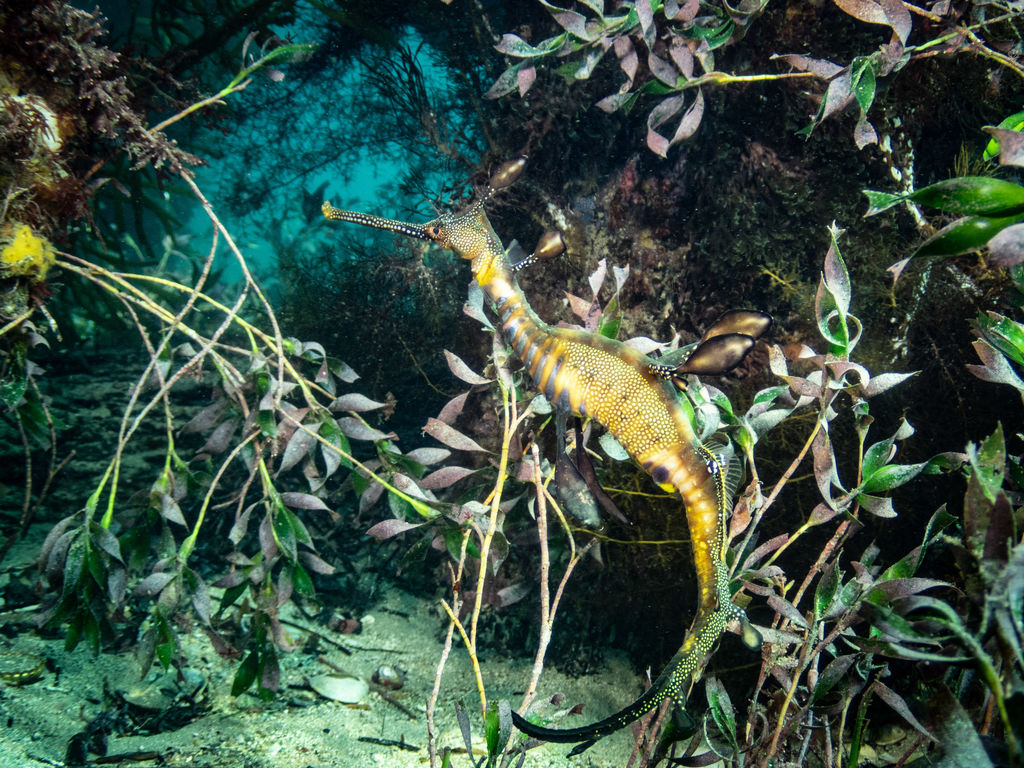 a4c9b57d-0890-4658-a6cc-1dd43c90b8ca