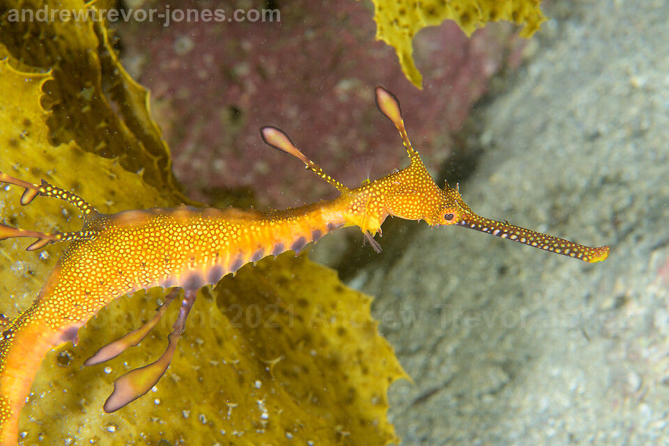 32f1e0e6-7891-45d7-953f-67cf535776a8