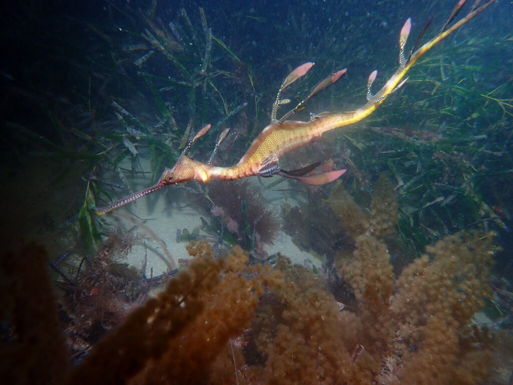 8bf71462-4eae-4e0f-b6c1-a13d4413f374