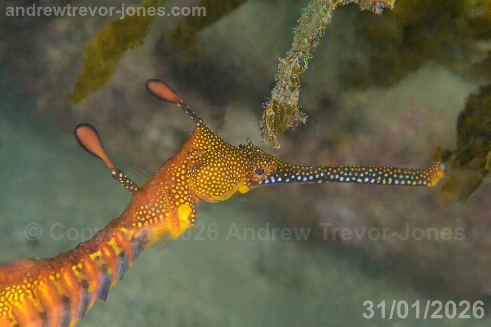 c3ab5a79-aba3-4364-9a3b-d76f767f02c9