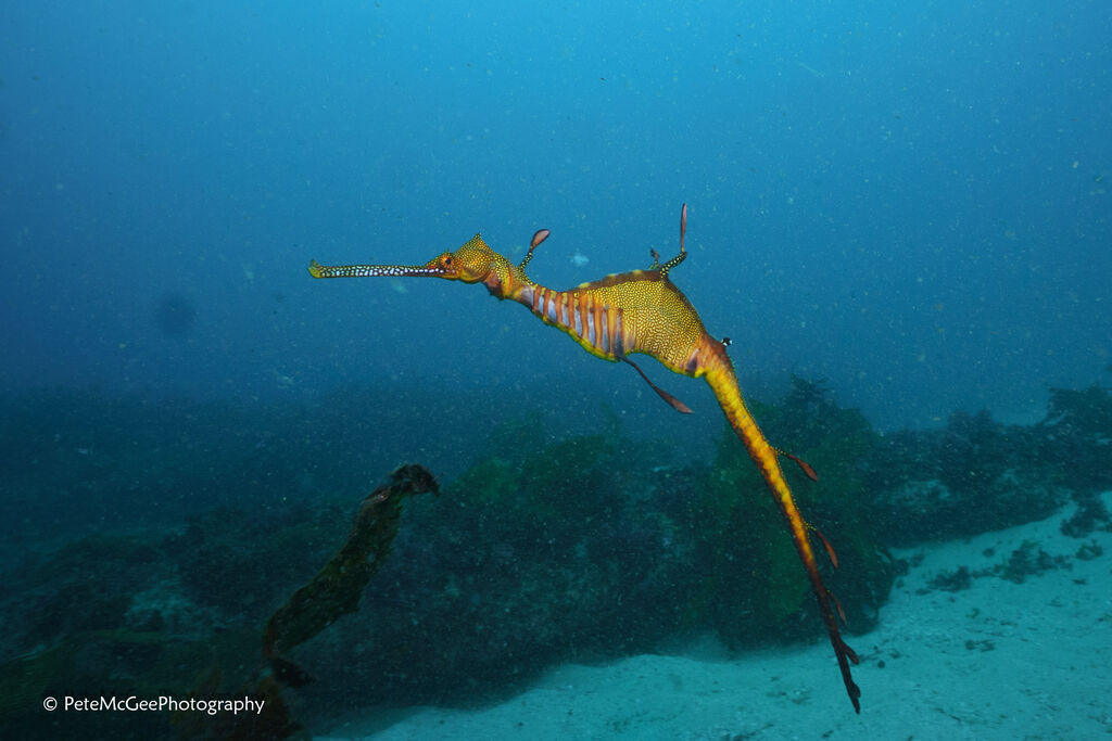 52790c8c-9764-4f24-a327-228e74837ec3