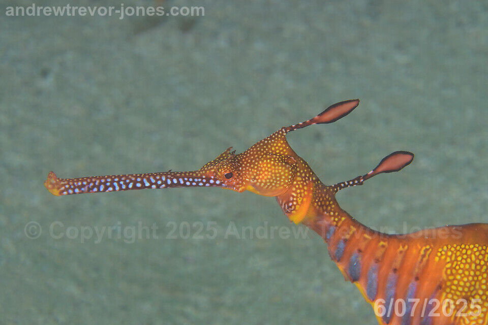 179c6a03-1670-4fa0-9334-8295a5a7e807