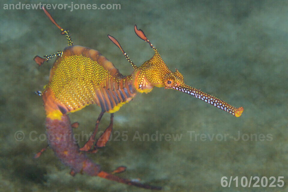 3b8f704a-c4df-4cd9-bbec-6ca92ea2f8c6