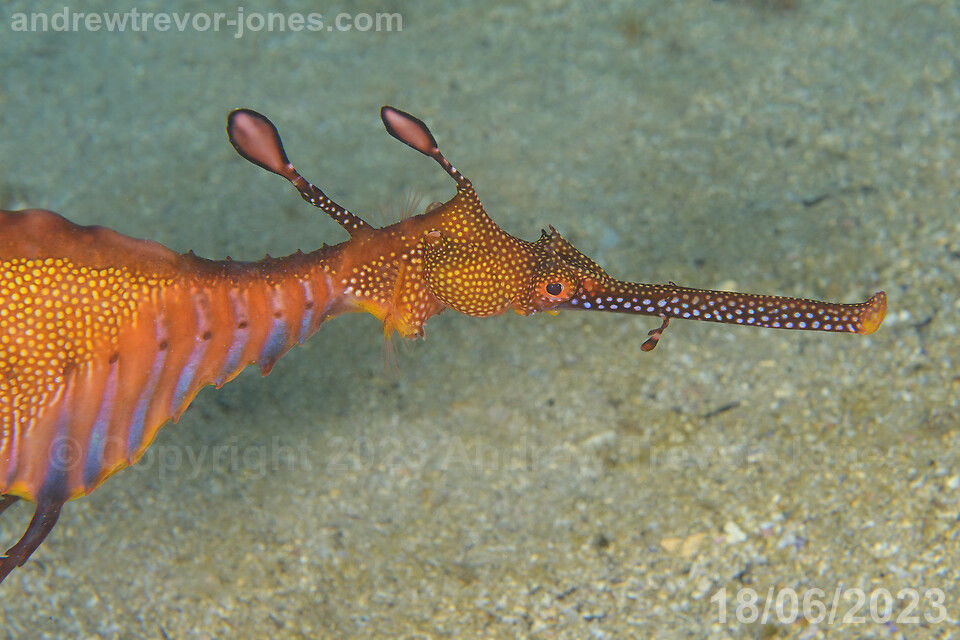 1a6e4338-813e-4ba0-be2c-79419c73fde7