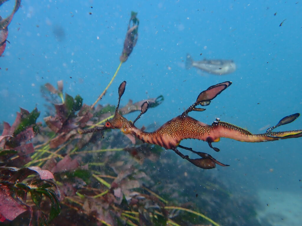 14fbf235-4834-46f1-9aa8-c1a5fc023905