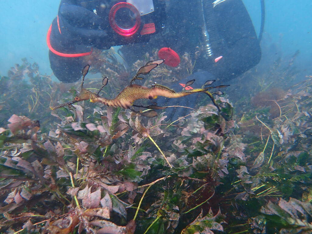 14fbf235-4834-46f1-9aa8-c1a5fc023905