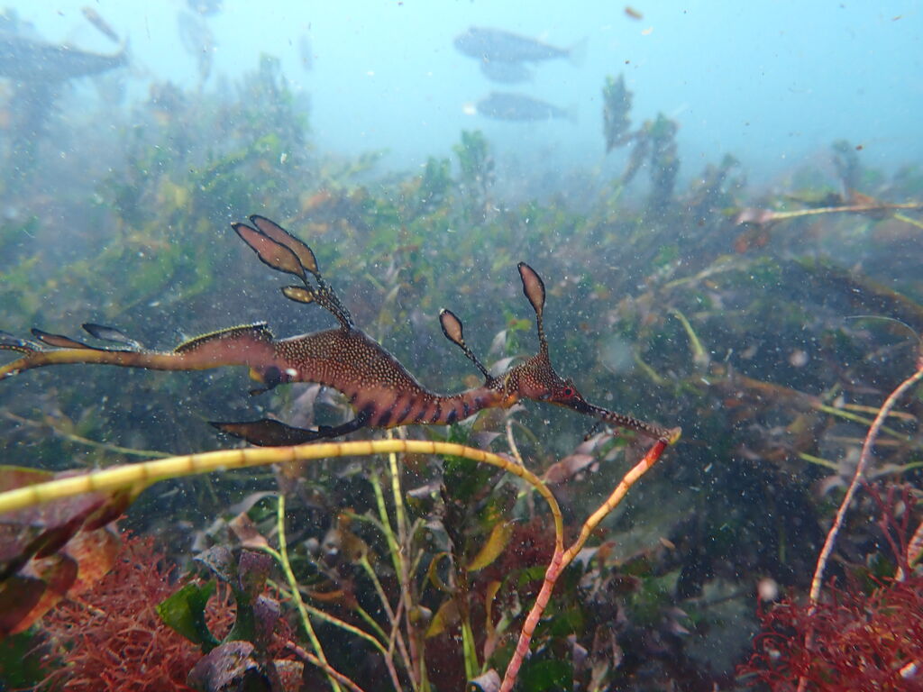 14fbf235-4834-46f1-9aa8-c1a5fc023905