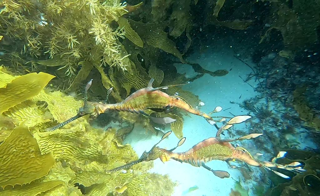 6014a666-c639-4bb7-8954-7b82b7cd8f88