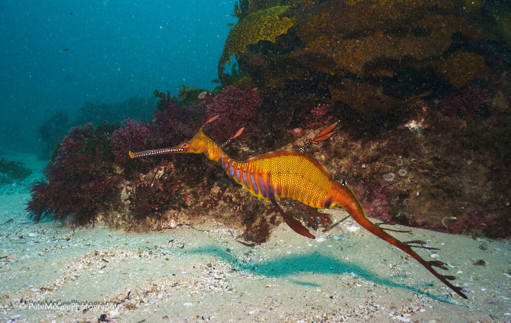 41b11cf9-6e34-4614-ab2f-3e6fc09065a3