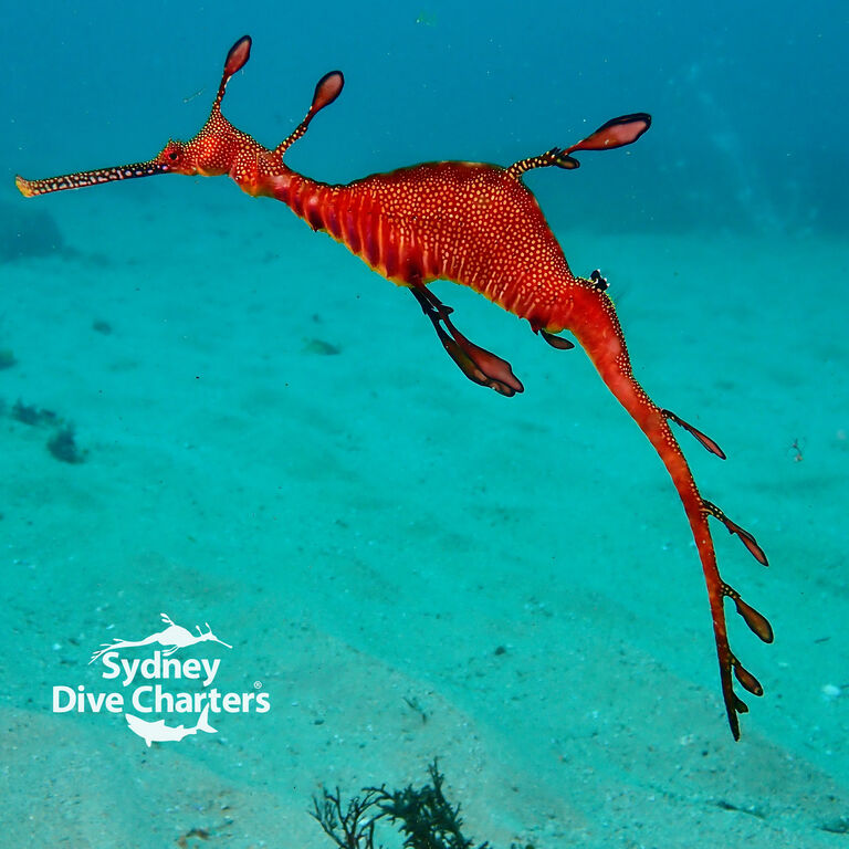 a2431045-21f5-4392-b4c1-4df5d26f9f98