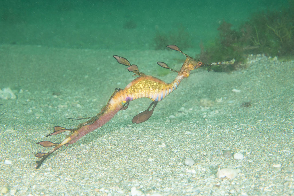 b9e245a5-6f76-47cb-ba8e-4c2882d98669