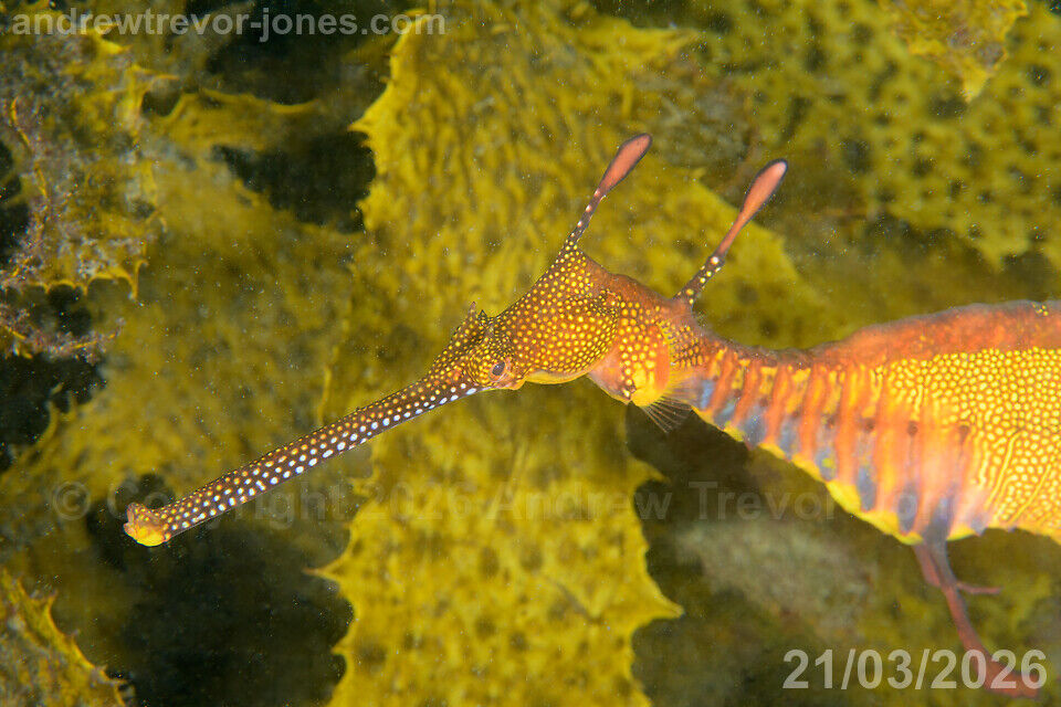 c3ab5a79-aba3-4364-9a3b-d76f767f02c9