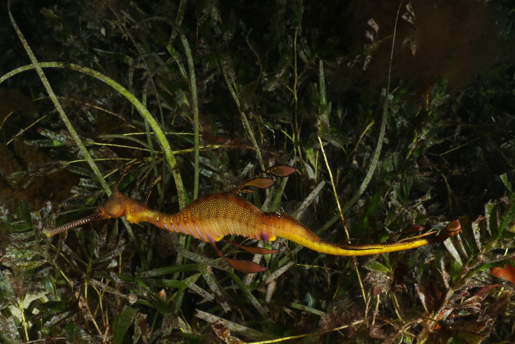 fd7fda8c-6a27-4a3b-b09a-312b9d12539f