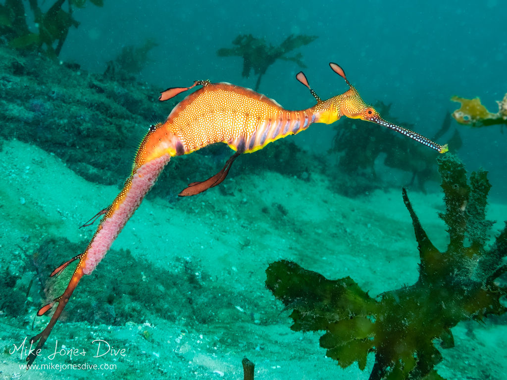 9cfac54c-a37e-405f-9fc9-b550d4d77fe4