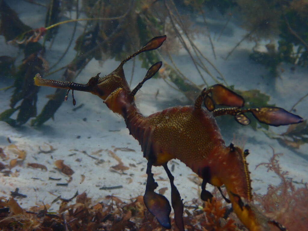 1ac69175-2614-4869-81c2-8dcae03b3118