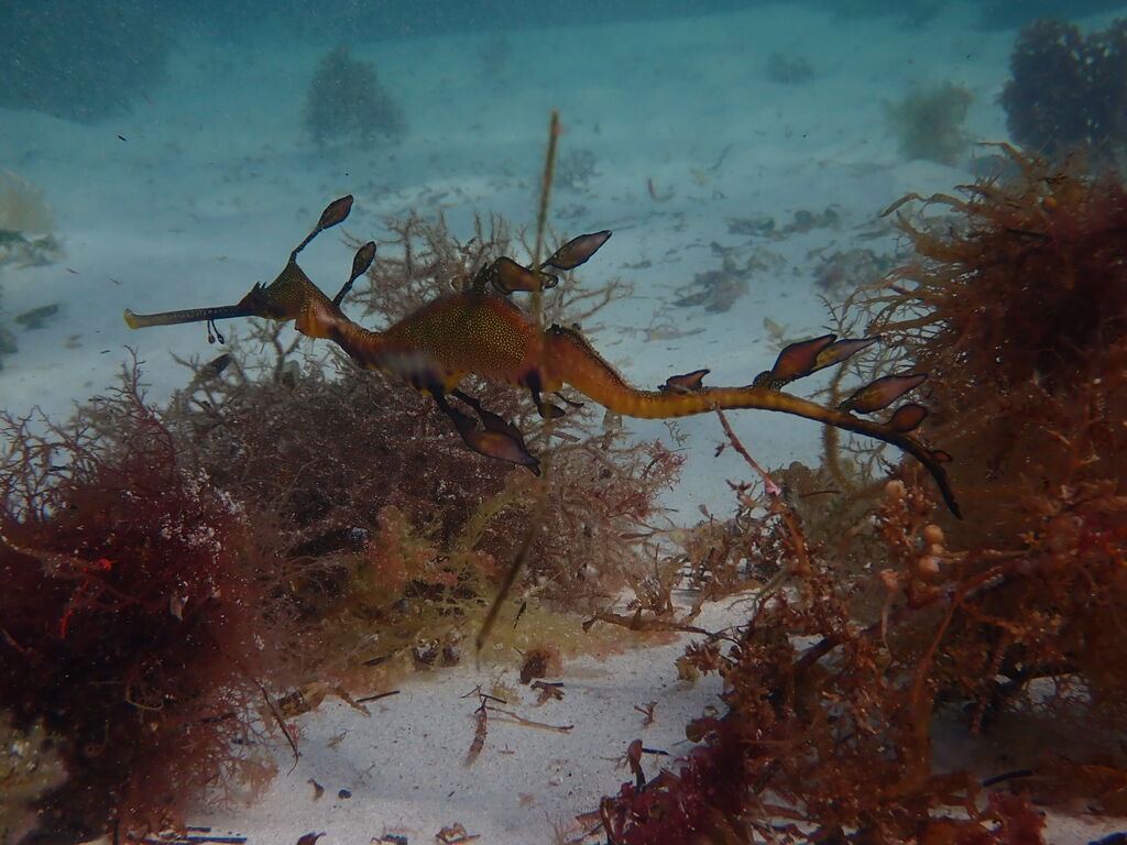 1ac69175-2614-4869-81c2-8dcae03b3118