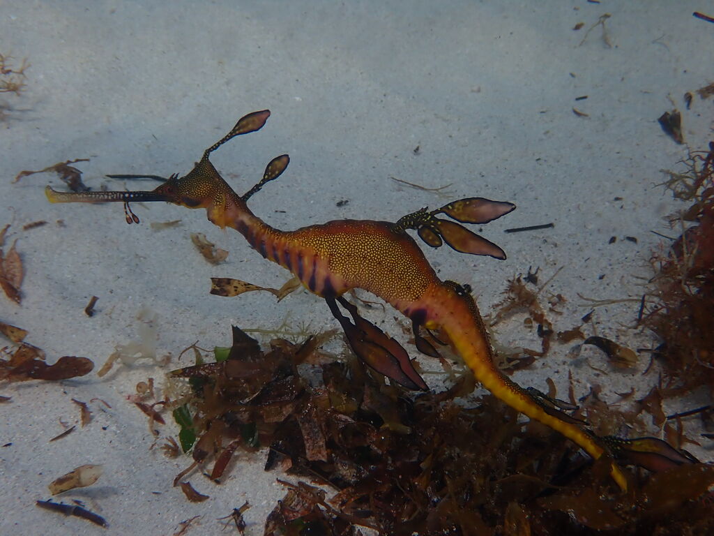 1ac69175-2614-4869-81c2-8dcae03b3118