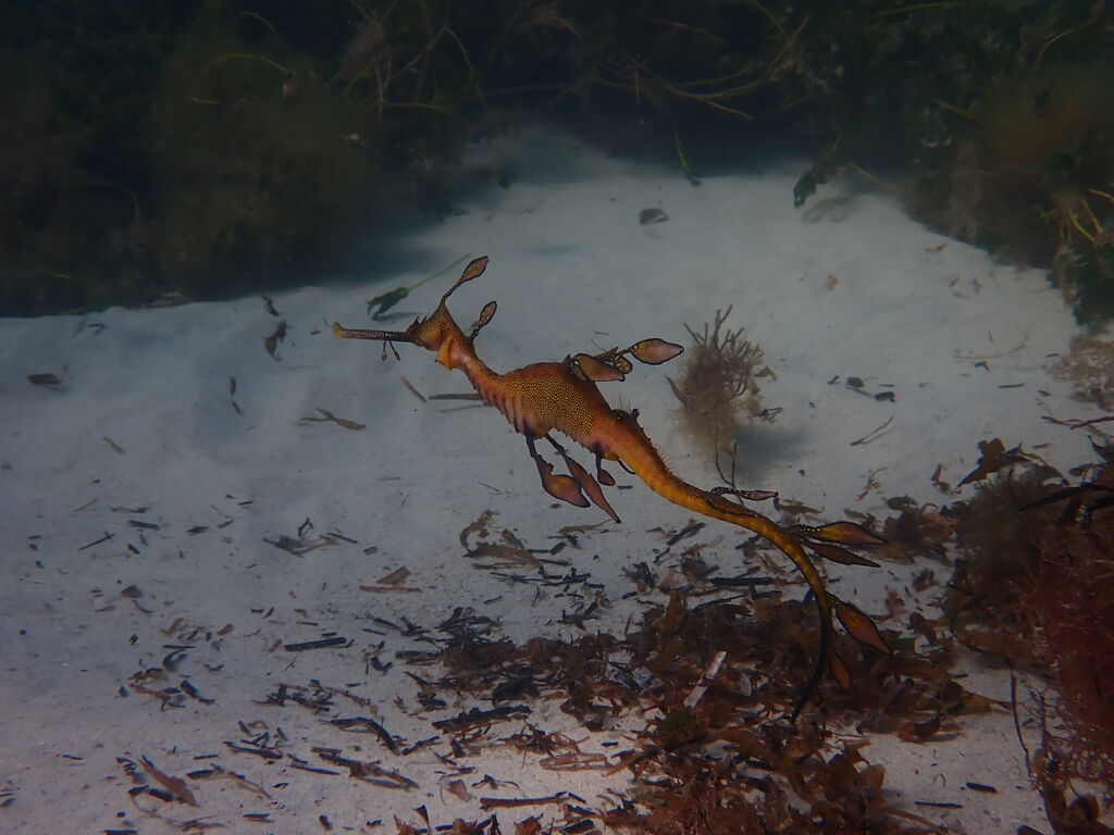 1ac69175-2614-4869-81c2-8dcae03b3118