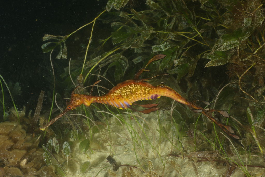 5c559dcd-f0a2-4c04-ab9c-e8279bb7c587