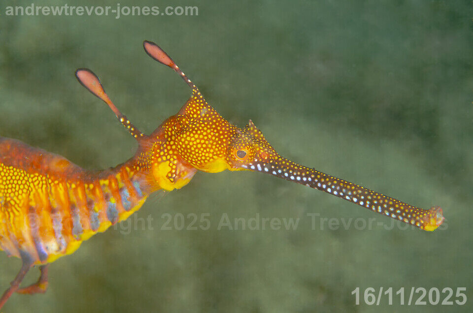 c3ab5a79-aba3-4364-9a3b-d76f767f02c9