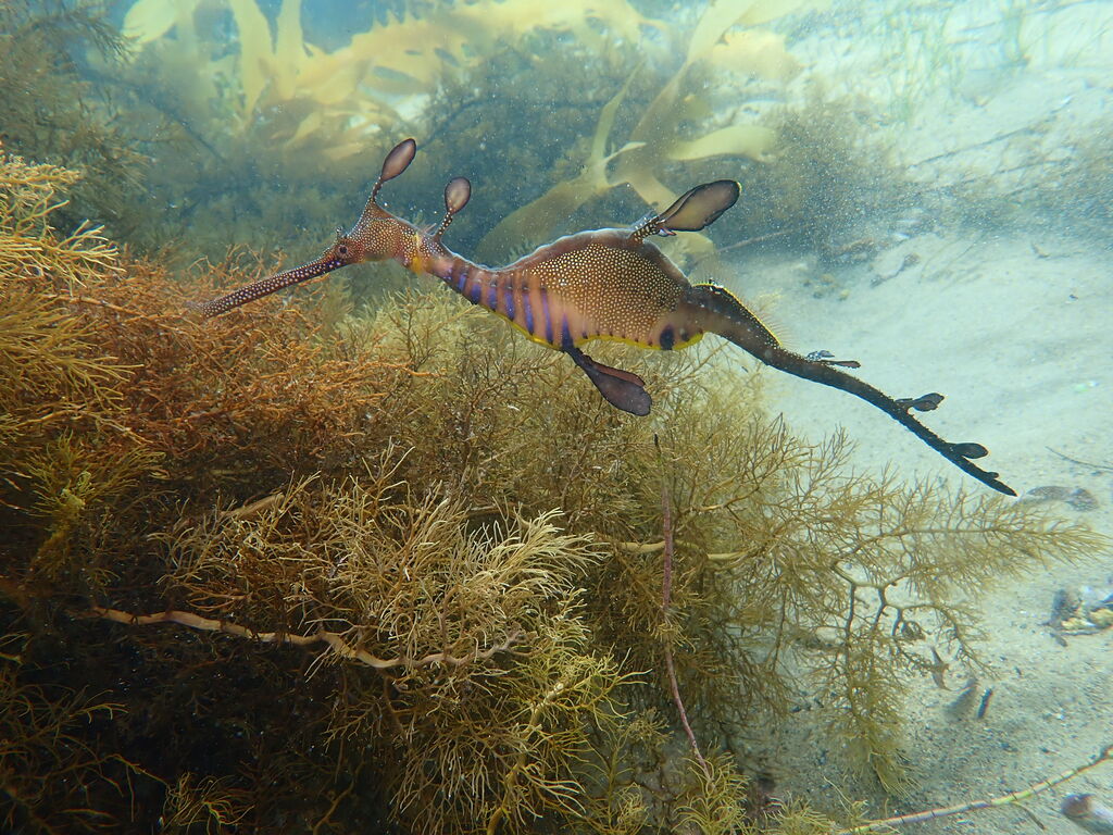 38063f36-6002-47cb-8e9d-475e58c8e54a