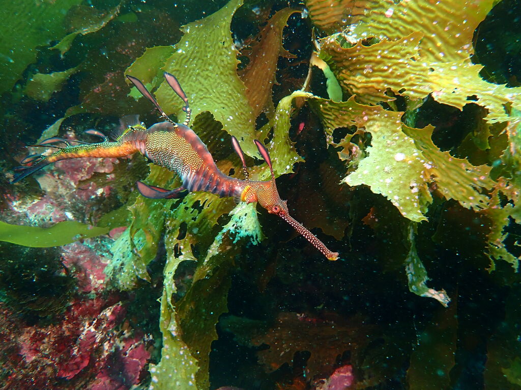 8d744540-7973-4efd-8650-85e27322d25c