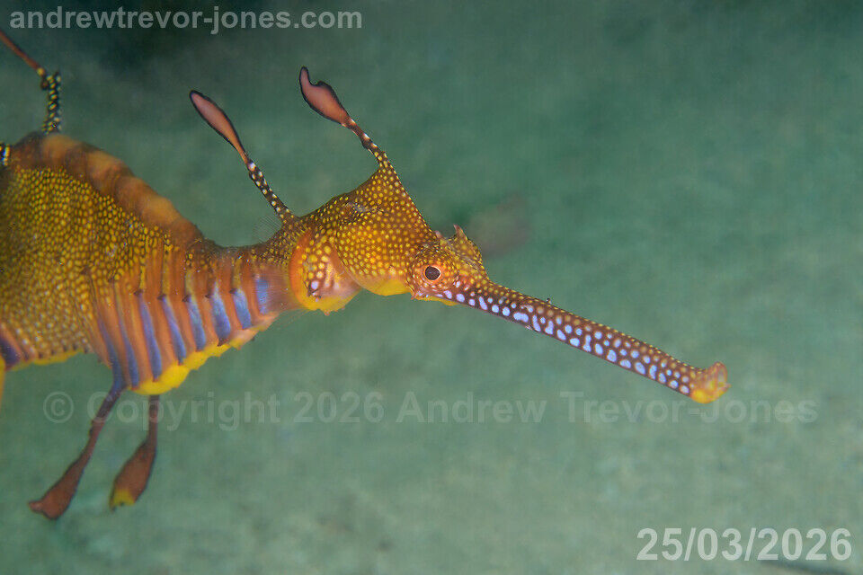 3b8f704a-c4df-4cd9-bbec-6ca92ea2f8c6