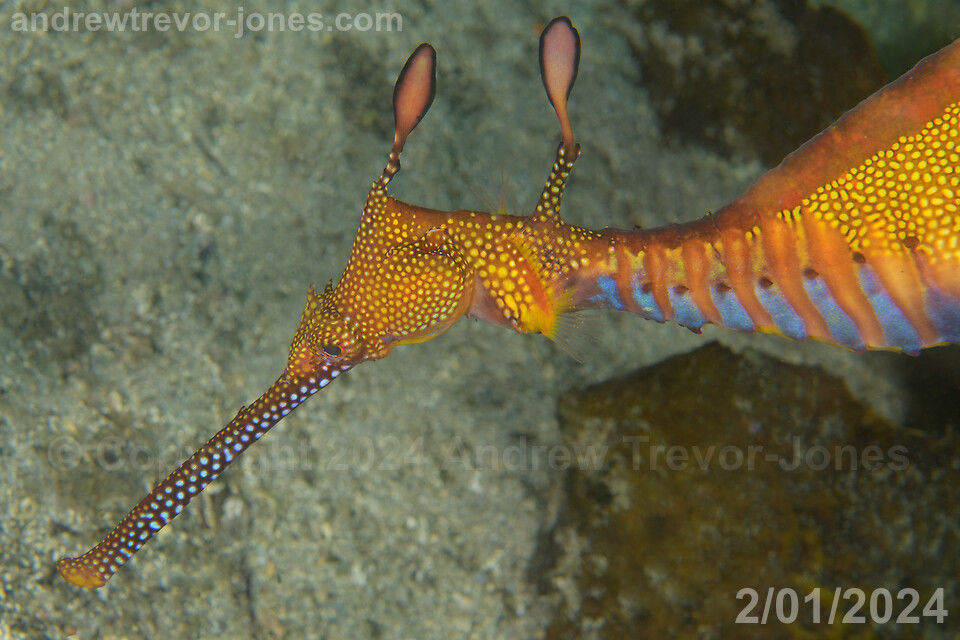 69c84b32-9792-45e3-85d8-979987cb27c5