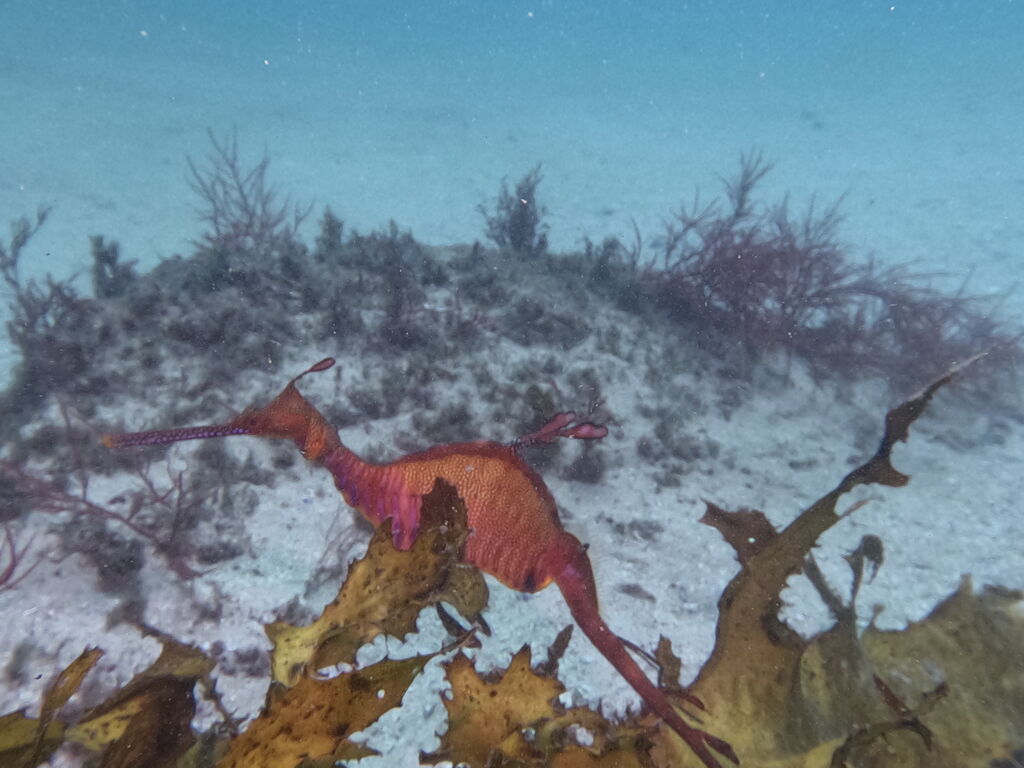 c5ac0275-c6de-4cc2-a9c9-861afe33c75e