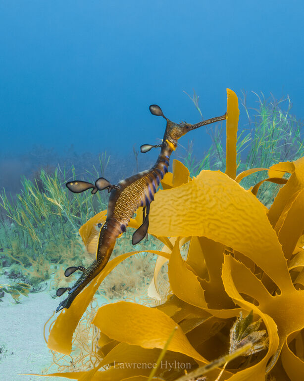 702c8bf2-6e8b-4501-89be-f27e656046b6