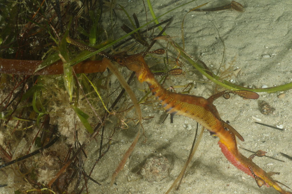 9c9c695d-849b-4da8-bb95-fc4947f02f45