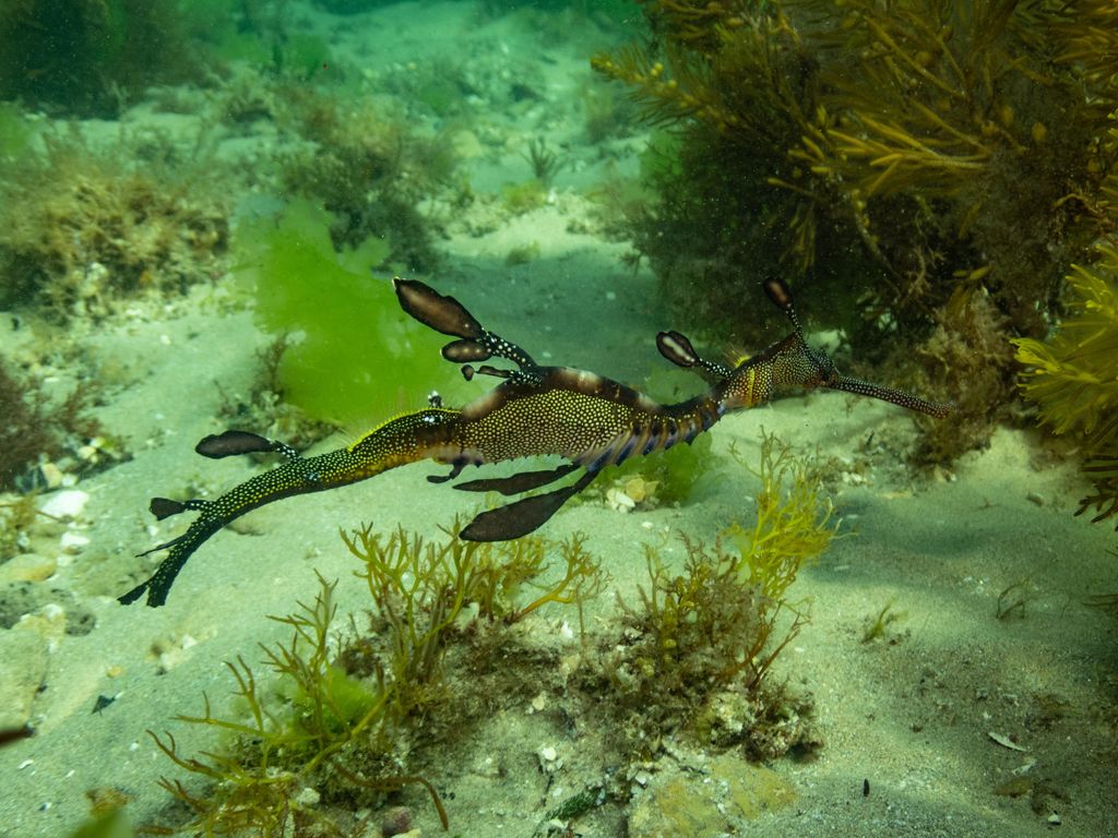 5f63eda6-a307-47e4-be90-4a80072f2604