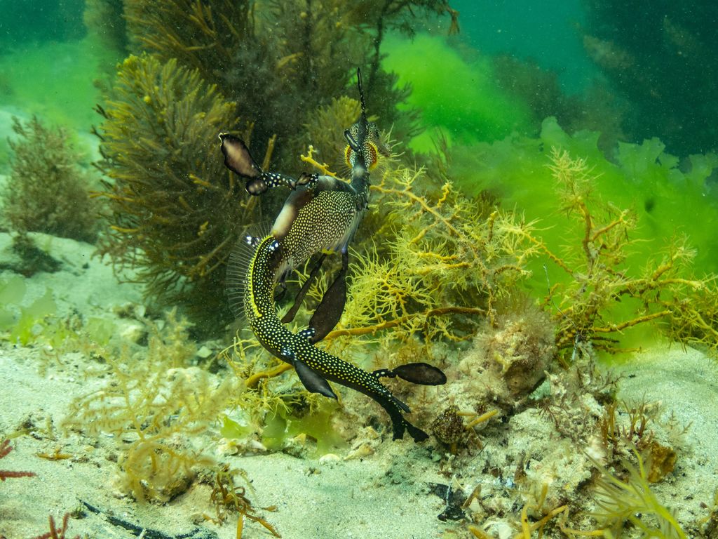 5f63eda6-a307-47e4-be90-4a80072f2604