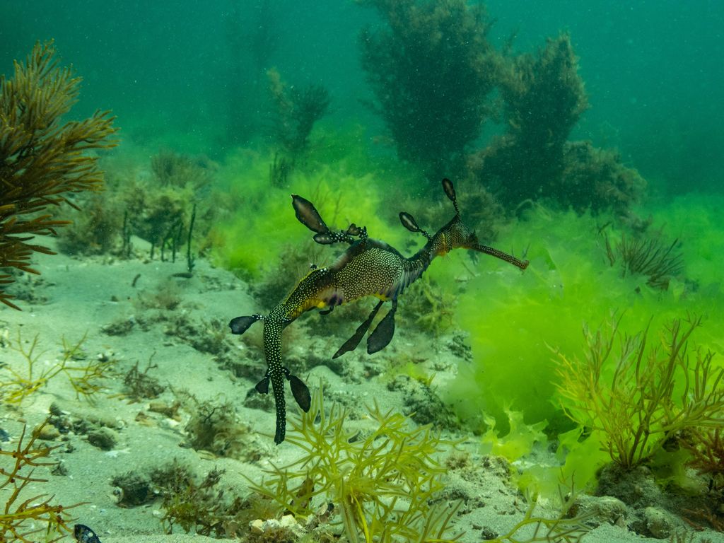 5f63eda6-a307-47e4-be90-4a80072f2604