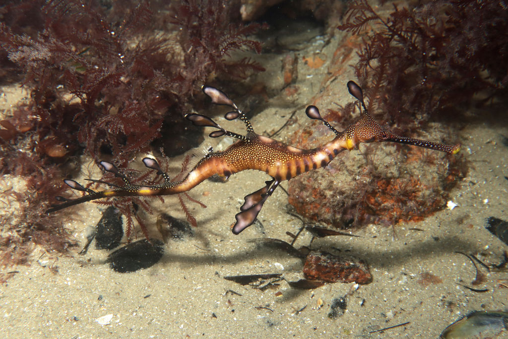 7c92f72f-56fb-49a7-83c7-7eb194b0ab2d