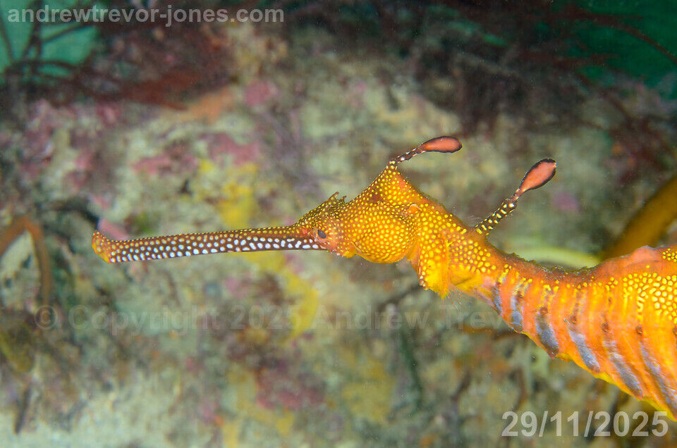 86f44478-77a9-475c-9b15-f868bed3b077