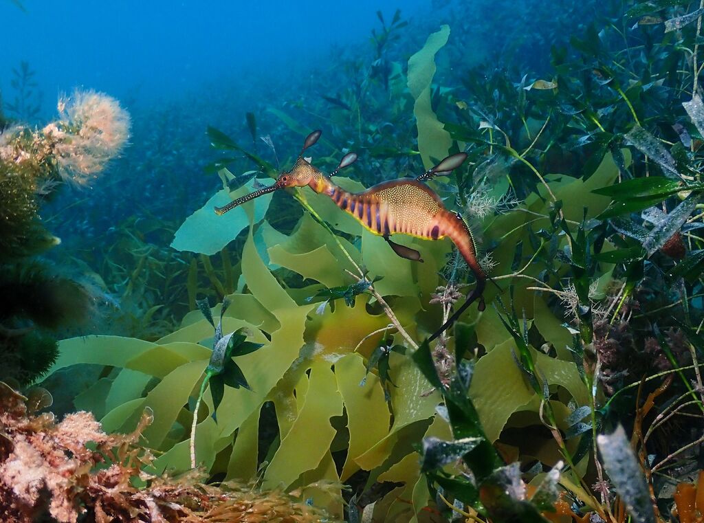 f4ac1124-b06e-4380-99c9-dc9ef7773b77