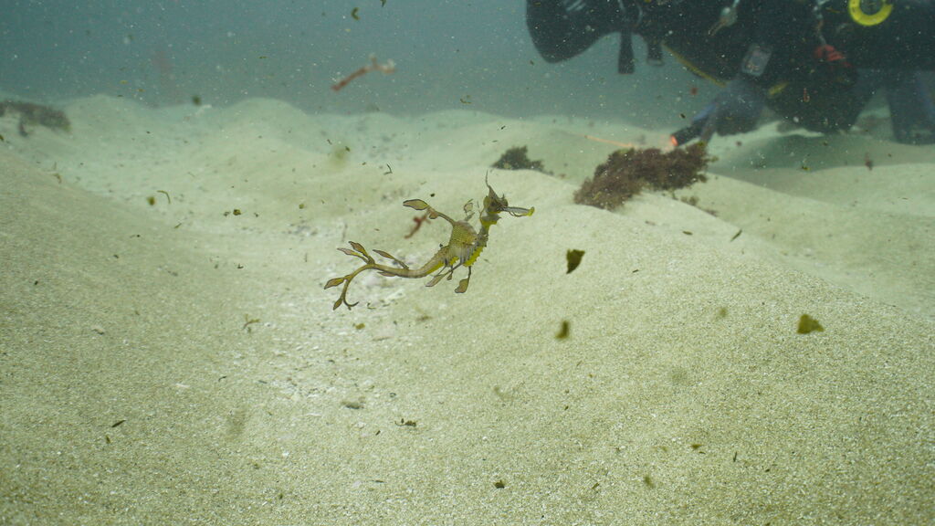 2ea5c690-1b96-4190-92f7-1fbc03b4103a