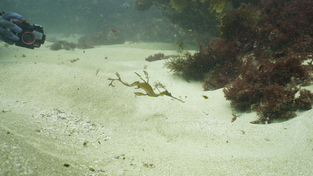 2ea5c690-1b96-4190-92f7-1fbc03b4103a