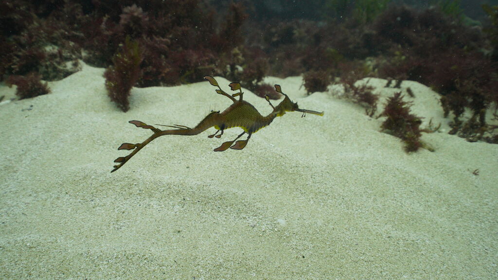 2ea5c690-1b96-4190-92f7-1fbc03b4103a