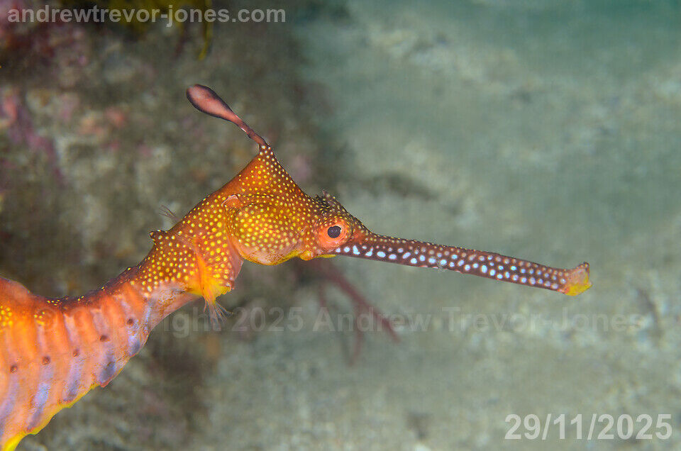 c5ac0275-c6de-4cc2-a9c9-861afe33c75e